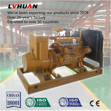 High Efficiency Coal Gas Generator 100/200kw for Power Station